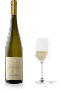 SAUVIGNON IGP SUPERIORE REGUTA ML 750 cod REG03