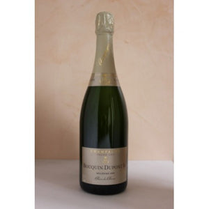 CHAMPAGNE MILLESIME BRUT GRAN CRU BOUQUIN DUPONT ML 750 cod BPA110